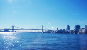 绿化工程是指,绿化工程是啥