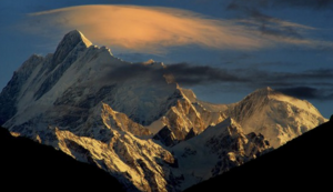 绿化工程是指,绿化工程是啥