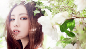 中国苗木资讯网官网下载地址在哪查找到,中国苗木资讯网官网下载地址在哪查找到